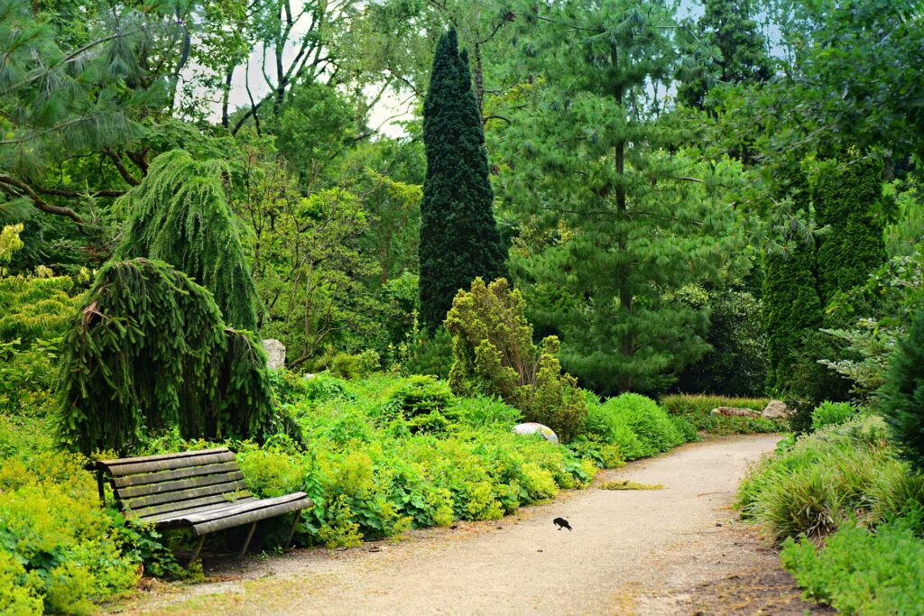 Residential mental health provides the opportunity to rest and relearn things in peaceful settings.
